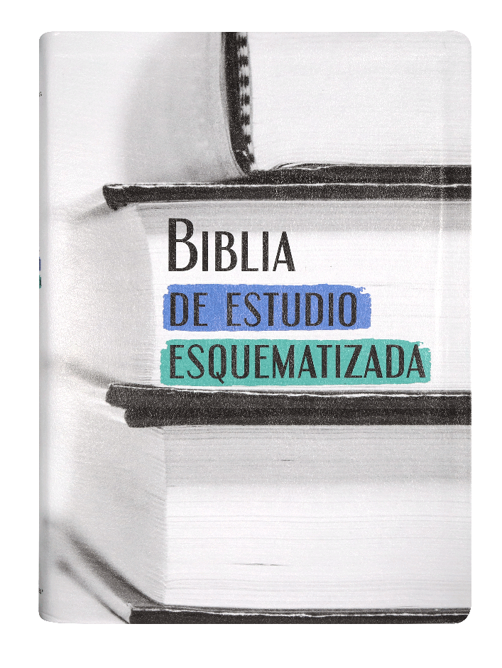 Biblia RVR60 Esquematizada Imitación Piel